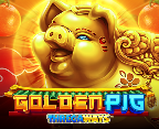 Golden Pig GMW